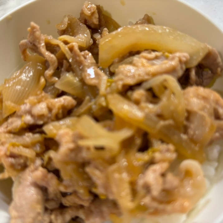 子供が大好きスタミナ丼